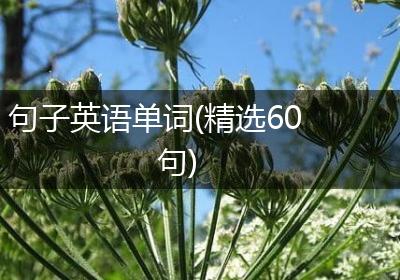 句子英语单词(精选60句)