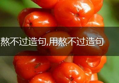 熬不过造句,用熬不过造句
