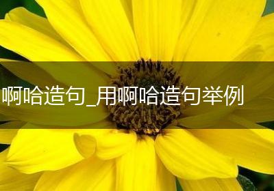 啊哈造句_用啊哈造句举例