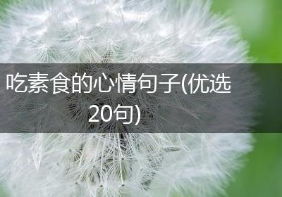 吃素食的心情句子(优选20句)