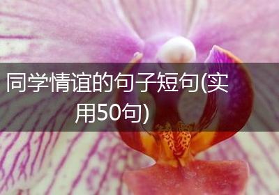 同学情谊的句子短句(实用50句)