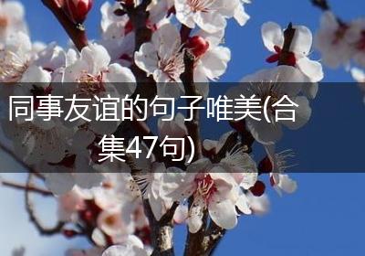同事友谊的句子唯美(合集47句)