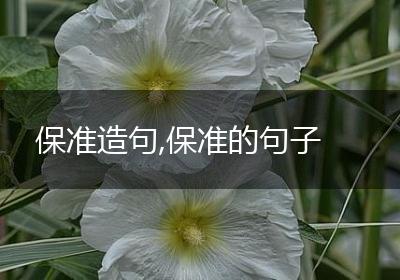 保准造句,保准的句子