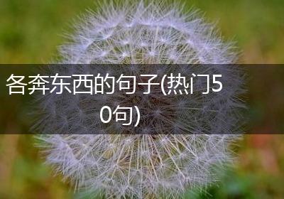 各奔东西的句子(热门50句)