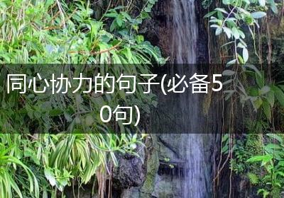 同心协力的句子(必备50句)