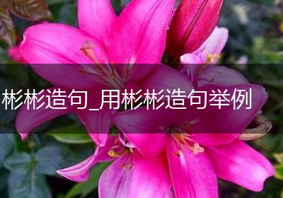 彬彬造句_用彬彬造句举例