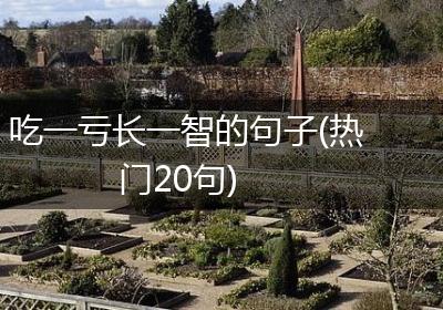 吃一亏长一智的句子(热门20句)
