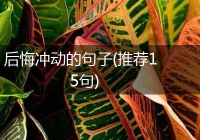 后悔冲动的句子(推荐15句)