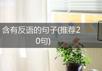 含有反语的句子(推荐20句)