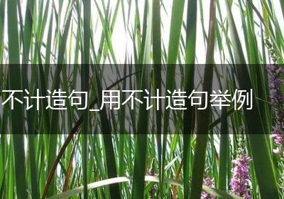 不计造句_用不计造句举例