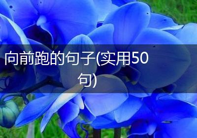 向前跑的句子(实用50句)