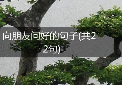 向朋友问好的句子(共22句)