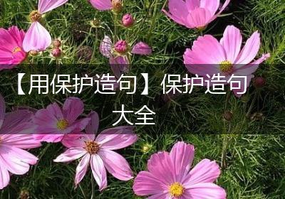 【用保护造句】保护造句大全