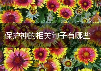 保护神的相关句子有哪些