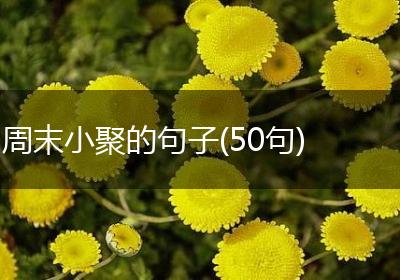 周末小聚的句子(50句)
