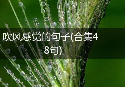 吹风感觉的句子(合集48句)