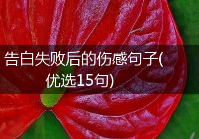 告白失败后的伤感句子(优选15句)