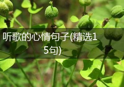 听歌的心情句子(精选15句)