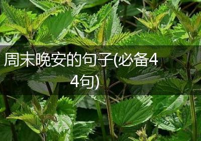 周末晚安的句子(必备44句)