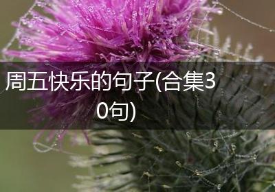 周五快乐的句子(合集30句)