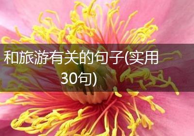 和旅游有关的句子(实用30句)