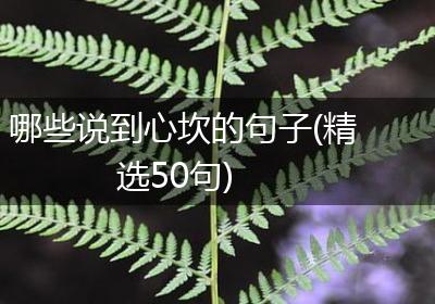 哪些说到心坎的句子(精选50句)