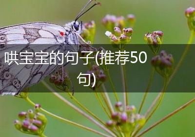 哄宝宝的句子(推荐50句)