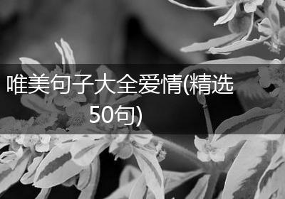 唯美句子大全爱情(精选50句)