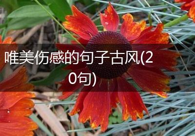 唯美伤感的句子古风(20句)