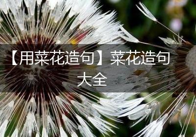 【用菜花造句】菜花造句大全