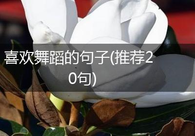 喜欢舞蹈的句子(推荐20句)