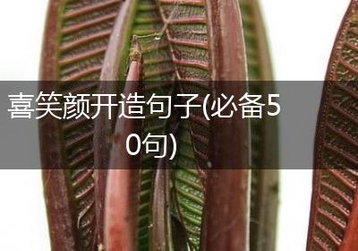 喜笑颜开造句子(必备50句)