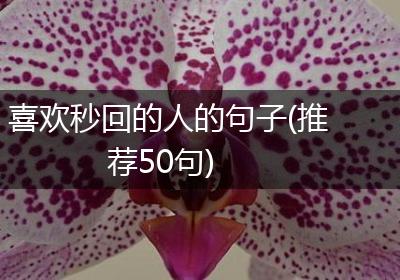 喜欢秒回的人的句子(推荐50句)
