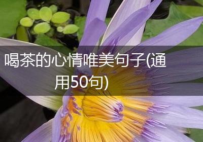 喝茶的心情唯美句子(通用50句)
