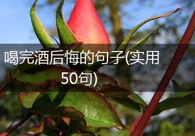 喝完酒后悔的句子(实用50句)