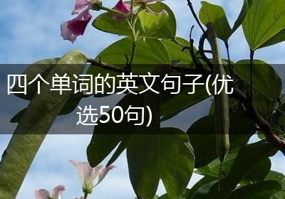 四个单词的英文句子(优选50句)