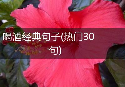 喝酒经典句子(热门30句)