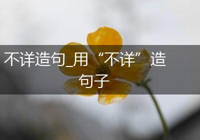 不详造句_用“不详”造句子