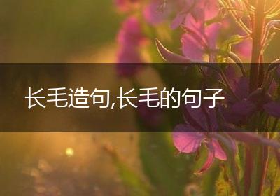 长毛造句,长毛的句子
