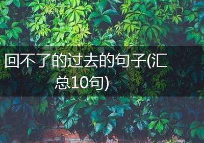 回不了的过去的句子(汇总10句)