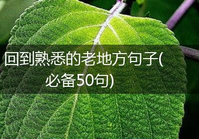 回到熟悉的老地方句子(必备50句)