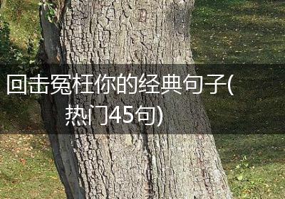 回击冤枉你的经典句子(热门45句)