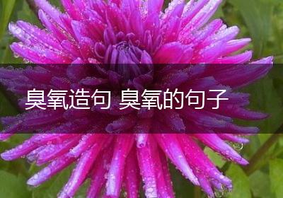 臭氧造句 臭氧的句子
