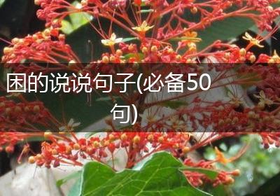 困的说说句子(必备50句)