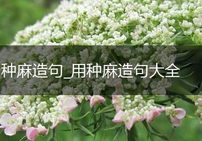 种麻造句_用种麻造句大全