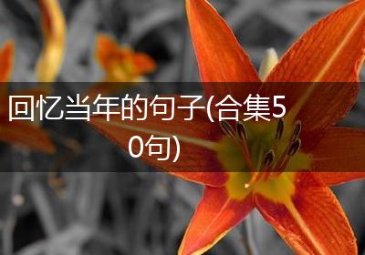 回忆当年的句子(合集50句)