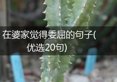 在婆家觉得委屈的句子(优选20句)