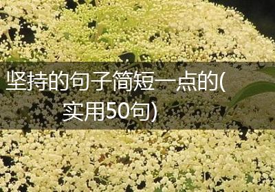 坚持的句子简短一点的(实用50句)