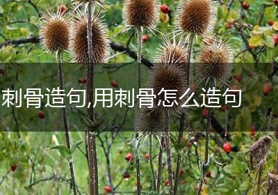 刺骨造句,用刺骨怎么造句