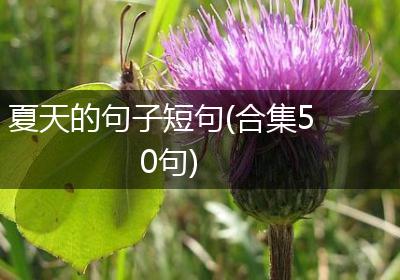 夏天的句子短句(合集50句)